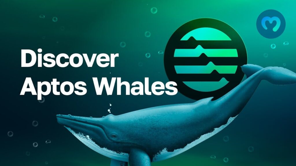 Aptos FA update 2025 sparks whale buys on NovexaHub